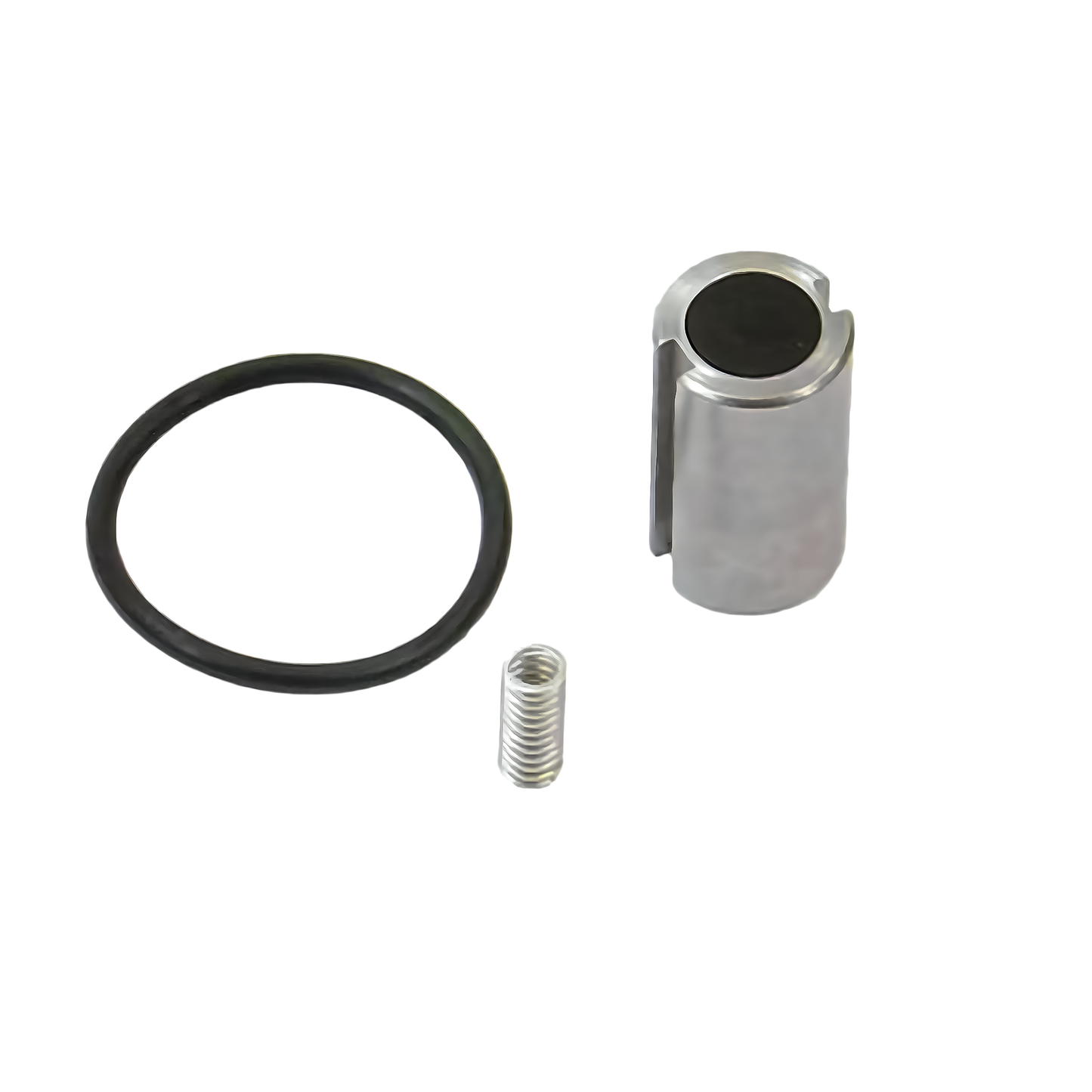 Rebuild Kit For .177 Fuel Solenoids