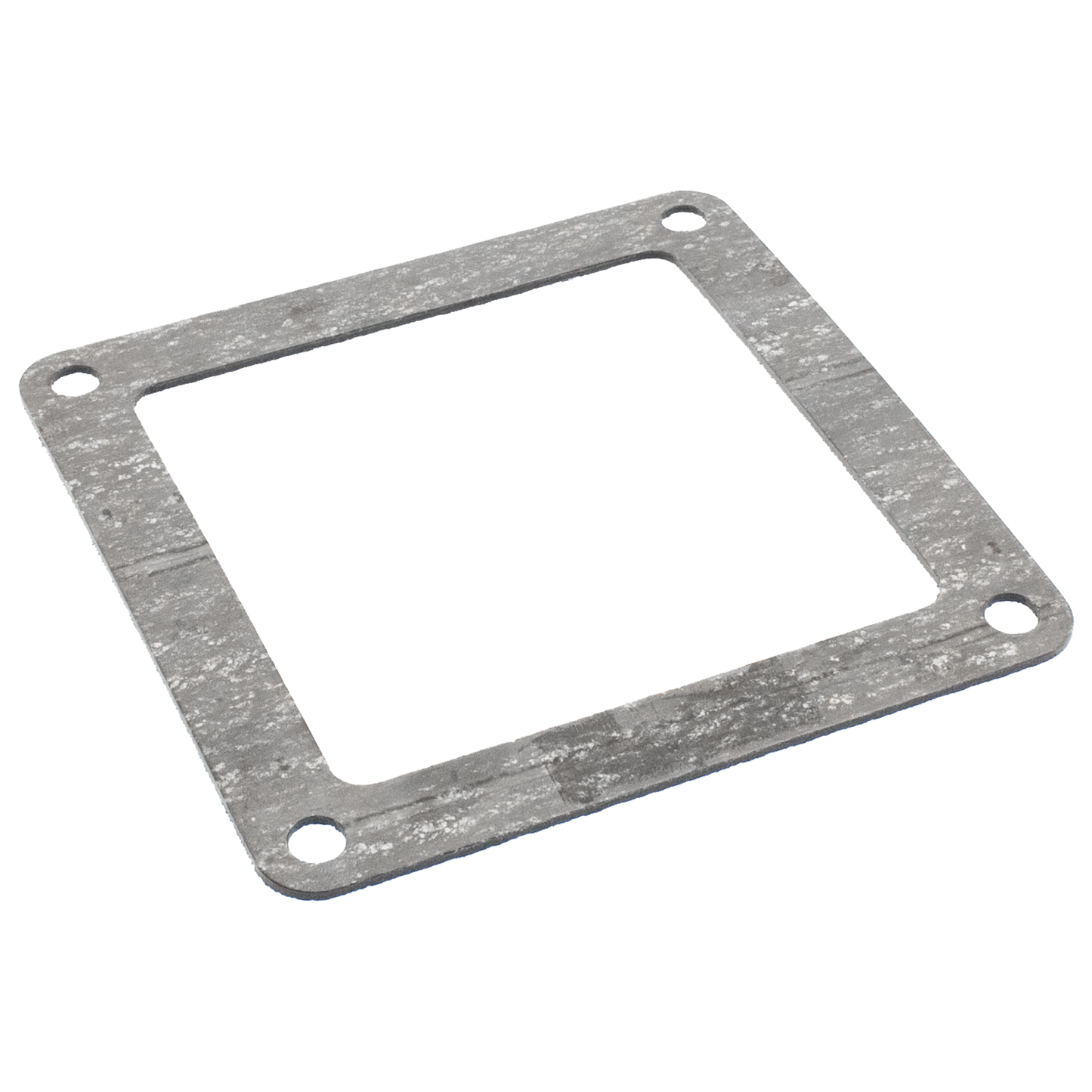 4500 Flange Gasket