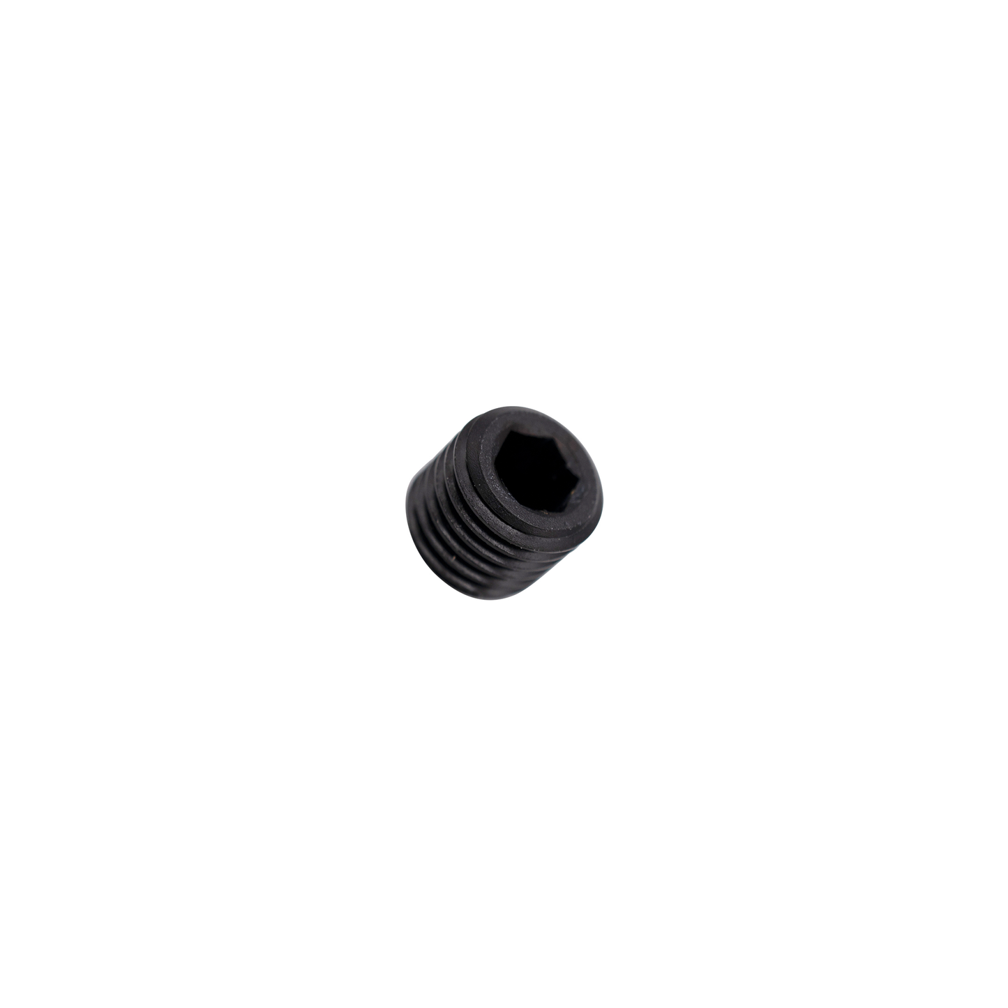 NPT Plug