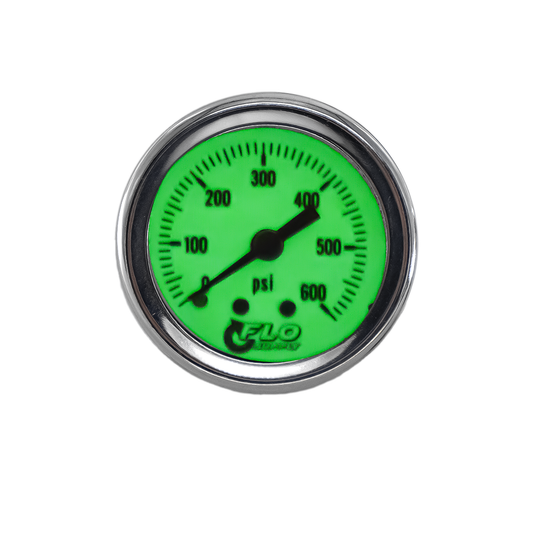 Luminescent CO2 Pressure Gauge - Back Inlet / 0-600 PSI